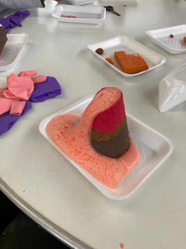 cursosverano (18)
